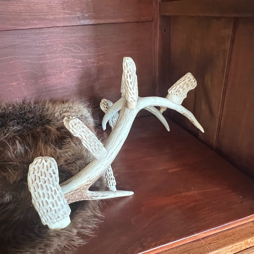 Folk Art Whitetail Shed Antler with hand carved morel mushrooms. - Picture 9 of 11